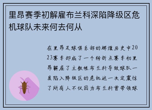 里昂赛季初解雇布兰科深陷降级区危机球队未来何去何从 里昂赛季初解雇布兰科深陷降级区危机球队未来何去何从