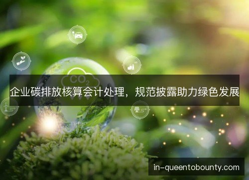 企业碳排放核算会计处理，规范披露助力绿色发展